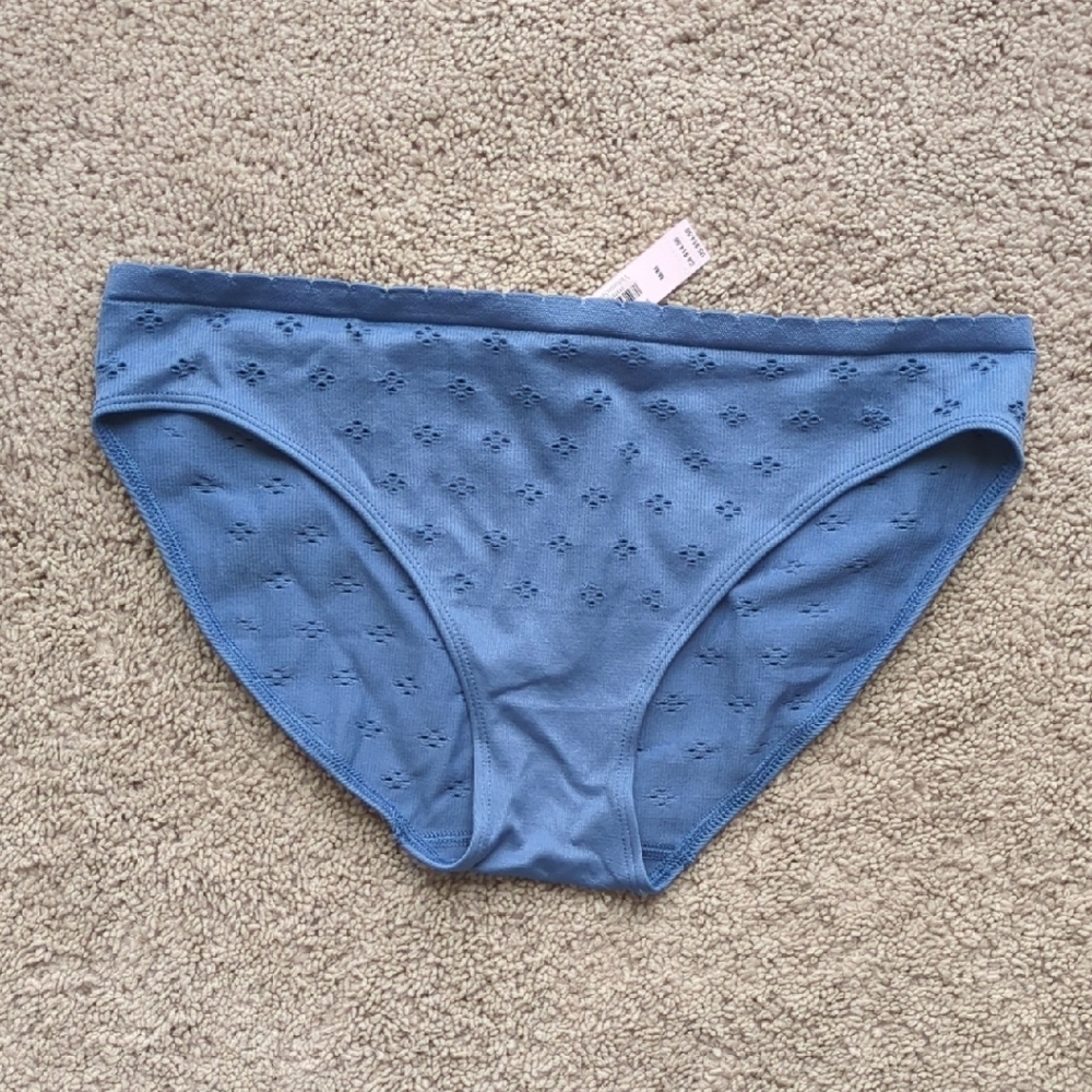 Victoria's Secret Blue Panties